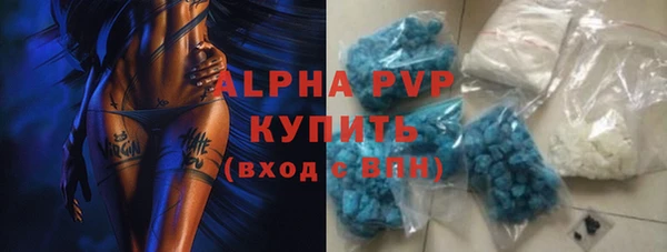 спайс Каменка