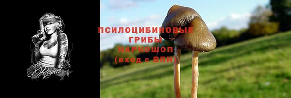 спайс Каменка