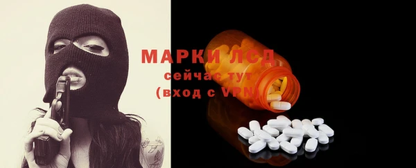 спайс Каменка