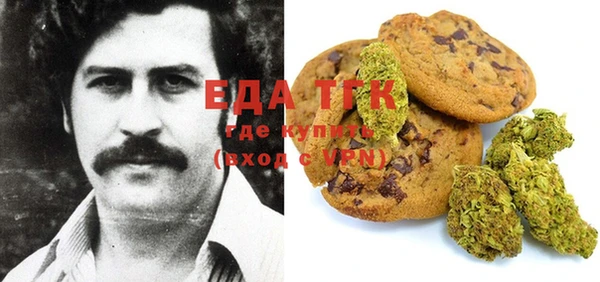 спайс Каменка