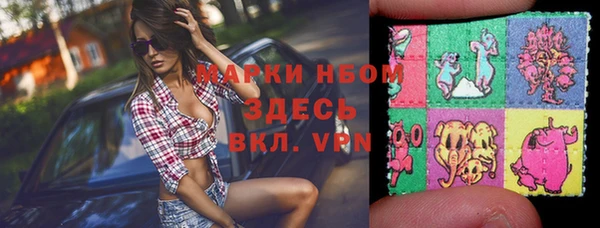 спайс Каменка