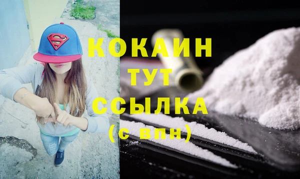 спайс Каменка