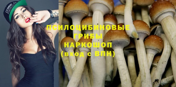 гидропоника Каменногорск
