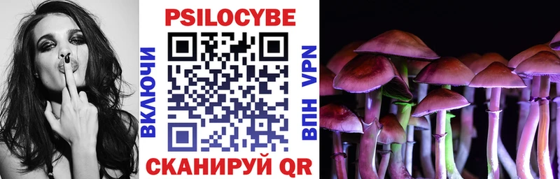 Галлюциногенные грибы Psilocybe  Новошахтинск 